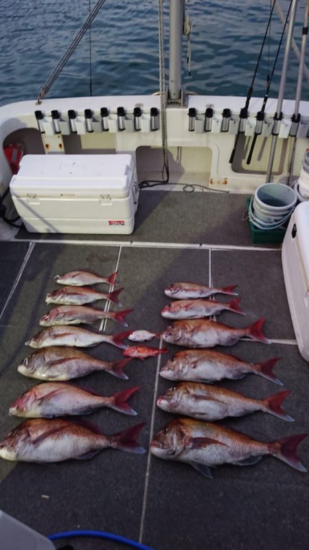 ARCADIAⅡ (アルカディアⅡ) 釣果