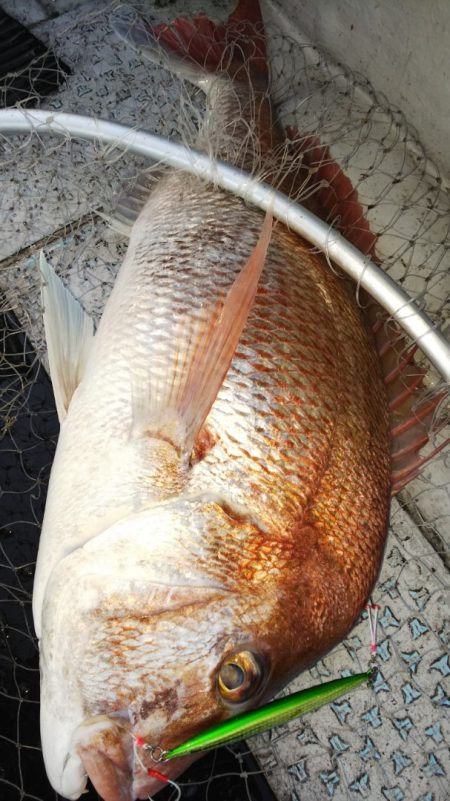 第二龍勢丸 釣果