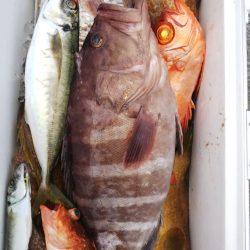 第二龍勢丸 釣果