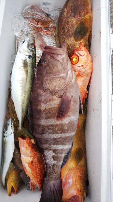 第二龍勢丸 釣果