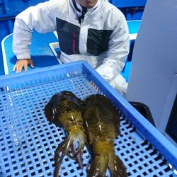 第三共栄丸 釣果