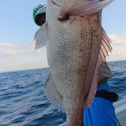 だて丸 釣果
