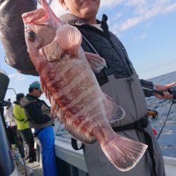 だて丸 釣果