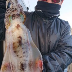 シースナイパー海龍 釣果