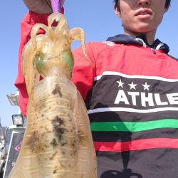 シースナイパー海龍 釣果