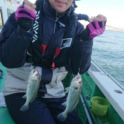 金沢八景鴨下丸 釣果