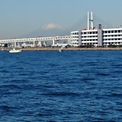 金沢八景鴨下丸 釣果