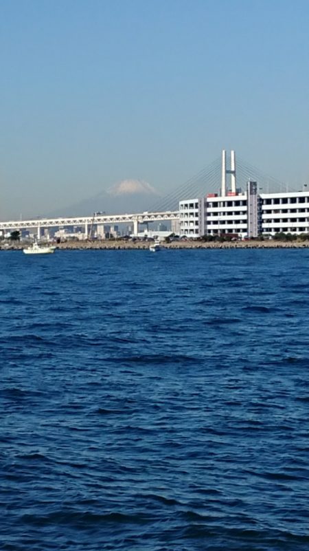 金沢八景鴨下丸 釣果