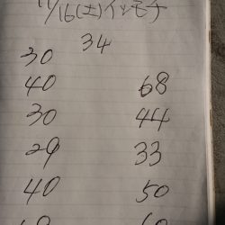 金沢八景鴨下丸 釣果