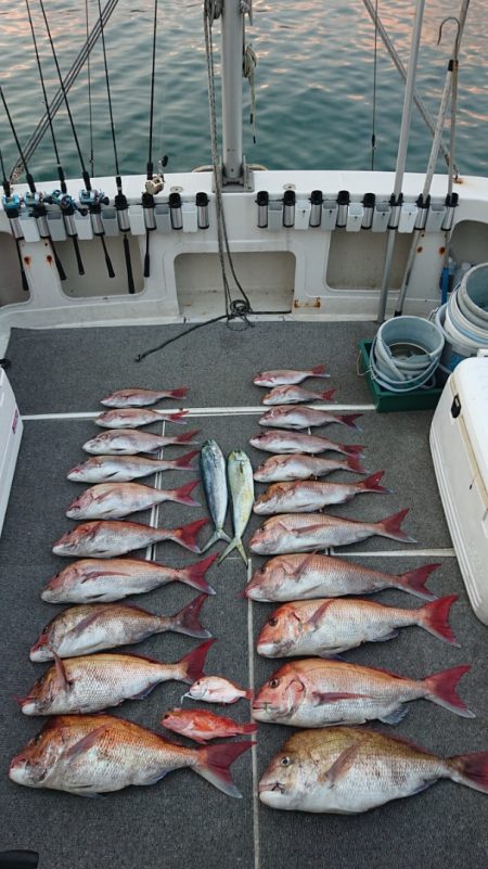 ARCADIAⅡ (アルカディアⅡ) 釣果