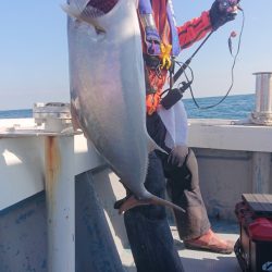 だて丸 釣果