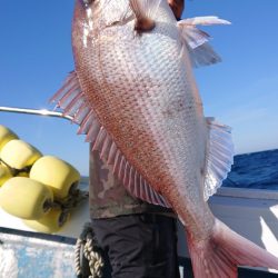 だて丸 釣果