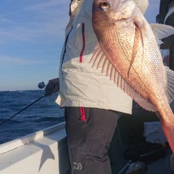 だて丸 釣果