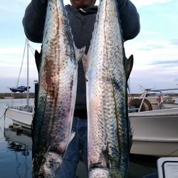 LUSTER『ラスター』 釣果