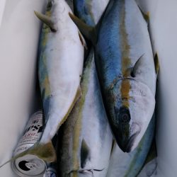 LUSTER『ラスター』 釣果