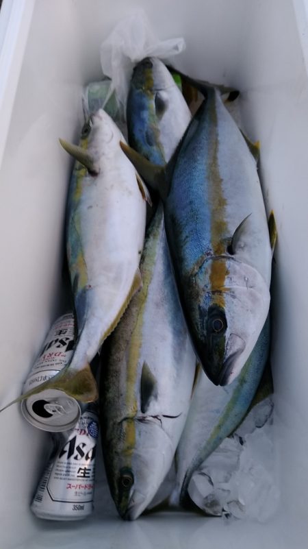 LUSTER『ラスター』 釣果