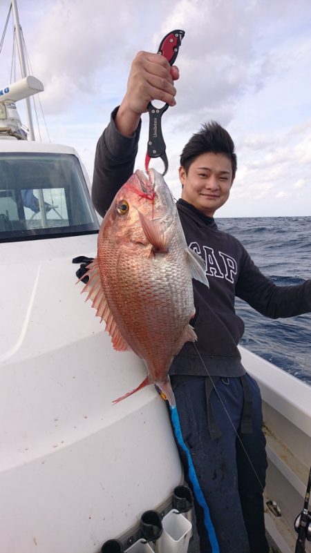 ARCADIAⅡ (アルカディアⅡ) 釣果