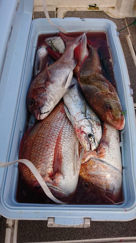 ARCADIAⅡ (アルカディアⅡ) 釣果