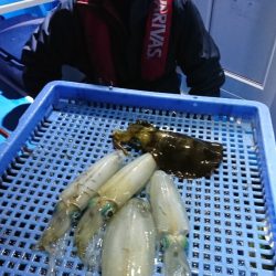 第三共栄丸 釣果