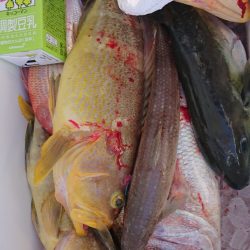 海皇丸 釣果