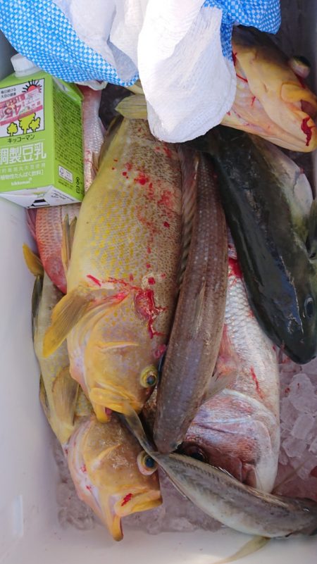 海皇丸 釣果