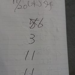 金沢八景鴨下丸 釣果