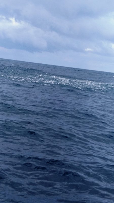 LUSTER『ラスター』 釣果