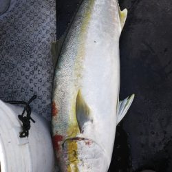 第二龍勢丸 釣果