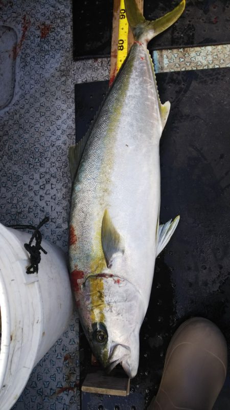 第二龍勢丸 釣果