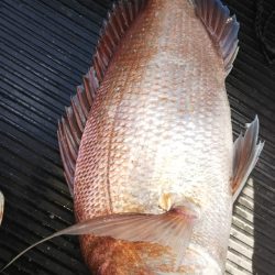 第二龍勢丸 釣果