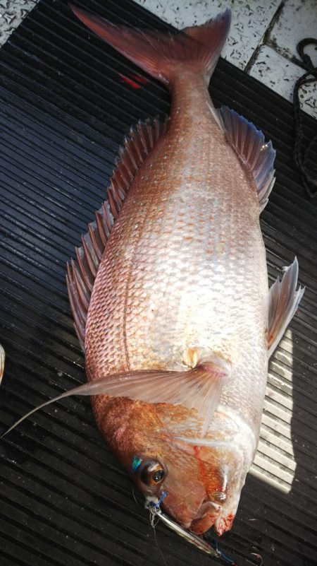 第二龍勢丸 釣果