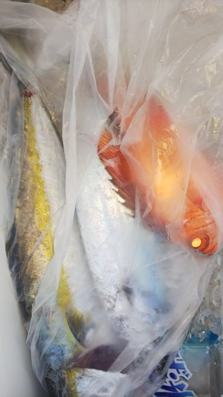 第二龍勢丸 釣果