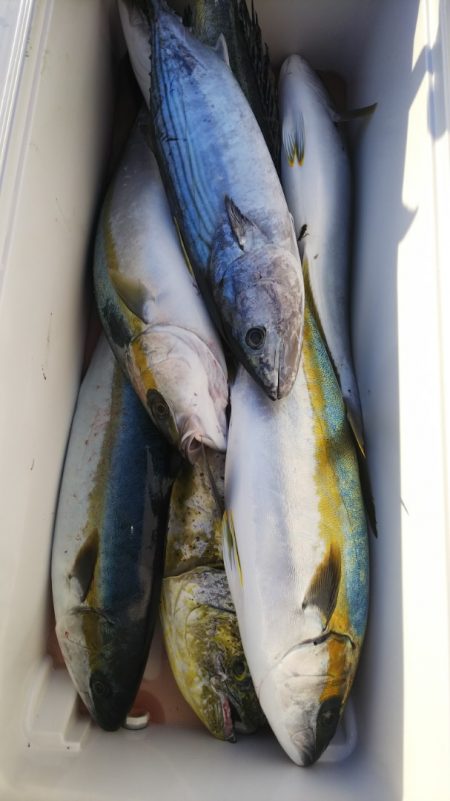 第二龍勢丸 釣果