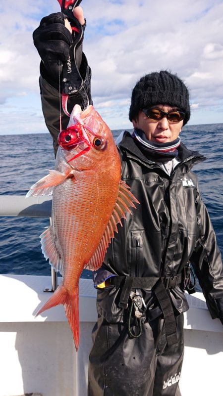 ARCADIAⅡ (アルカディアⅡ) 釣果