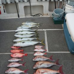 ARCADIAⅡ (アルカディアⅡ) 釣果