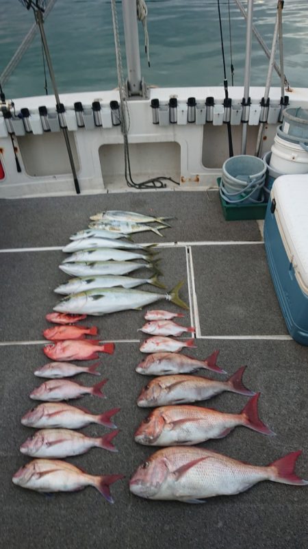 ARCADIAⅡ (アルカディアⅡ) 釣果