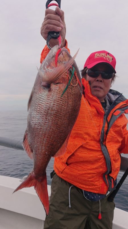 ARCADIAⅡ (アルカディアⅡ) 釣果