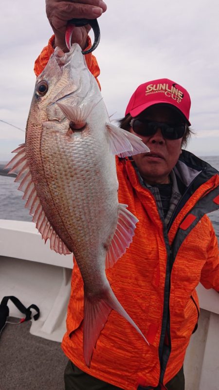 ARCADIAⅡ (アルカディアⅡ) 釣果