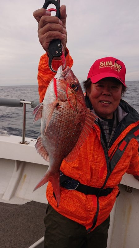 ARCADIAⅡ (アルカディアⅡ) 釣果