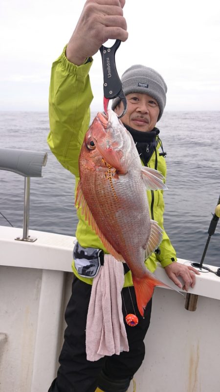 ARCADIAⅡ (アルカディアⅡ) 釣果