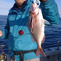 ARCADIAⅡ (アルカディアⅡ) 釣果