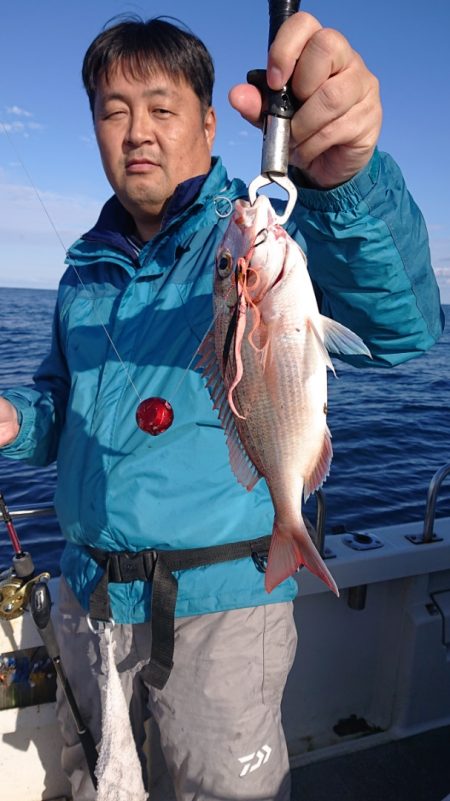 ARCADIAⅡ (アルカディアⅡ) 釣果