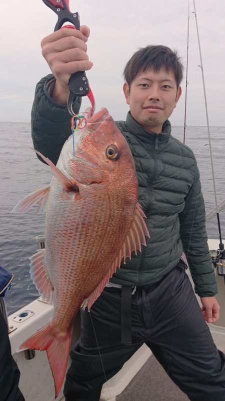 ARCADIAⅡ (アルカディアⅡ) 釣果