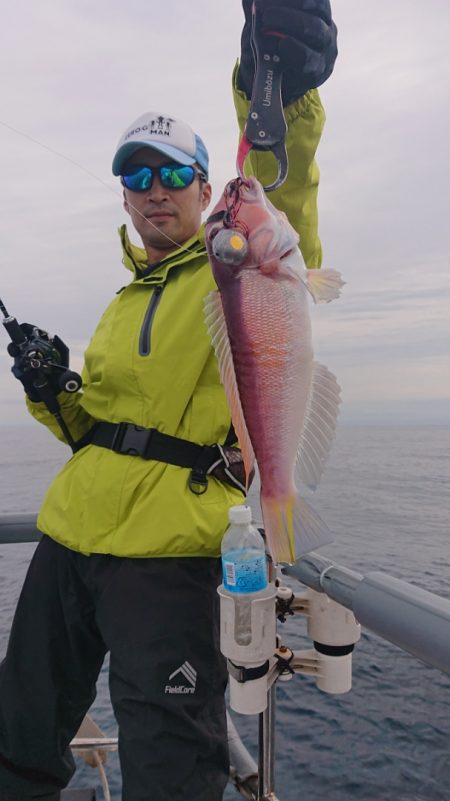 ARCADIAⅡ (アルカディアⅡ) 釣果