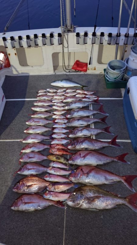 ARCADIAⅡ (アルカディアⅡ) 釣果