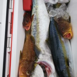 第二龍勢丸 釣果