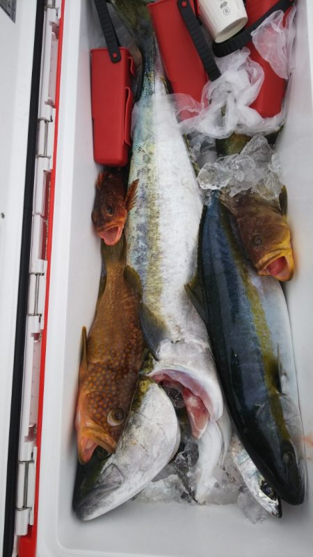 第二龍勢丸 釣果