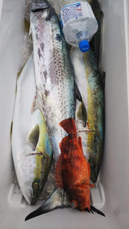 第二龍勢丸 釣果