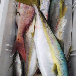 第二龍勢丸 釣果