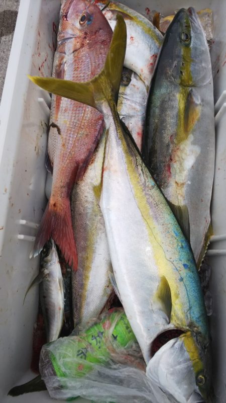 第二龍勢丸 釣果